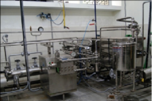 Fruit and Vegetables Processing Plant